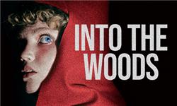 Maybelline Makeup Sky High Mascara - Into The Woods