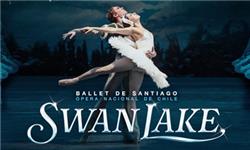 Maybelline Makeup Sky High Mascara - Ballet de Santiago Swan Lake