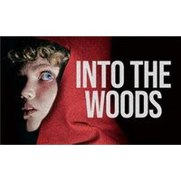 Into The Woods - Maybelline Makeup Sky High Mascara review and price