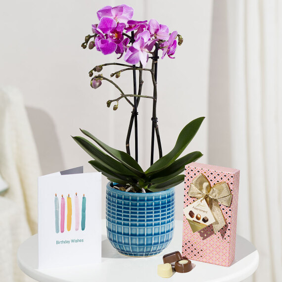 Phalaenopsis Birthday Gift - Maybelline Makeup Sky High Mascara review and price