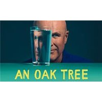 An Oak Tree - Maybelline Makeup Sky High Mascara review and price