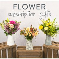 Hand Tied 6 Month Flower Gift - Maybelline Makeup Sky High Mascara review and price