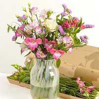 Letterbox Monthly Flower Gift - Maybelline Makeup Sky High Mascara review and price